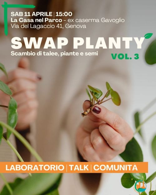 Swap Planty - vol. 3